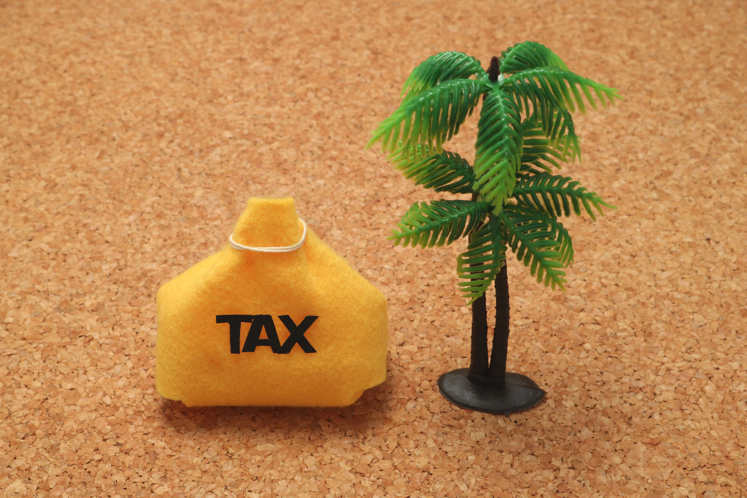 59068196 - tax and palm trees. offshore island. financial concept.